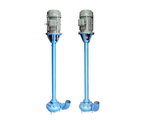 DYWS液下污(wū)水泵