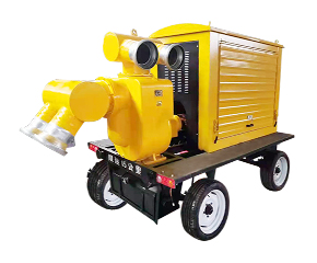 柴(chái)油機自(zì)吸泵 泵(bèng)車